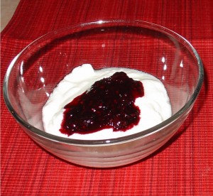Bowl of Yogurt Bowl of Yogurt