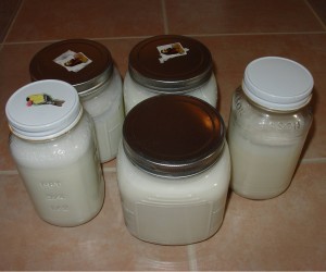 Fill Jars with Yogurt Mixture Fill Jars with Yogurt Mixture
