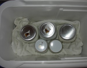 Keep Yogurt Mixture Warm Keep Yogurt Mixture Warm