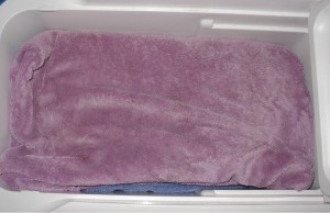 A Cooler and Heathing Pad Work Great A Cooler and Heathing Pad Work Great