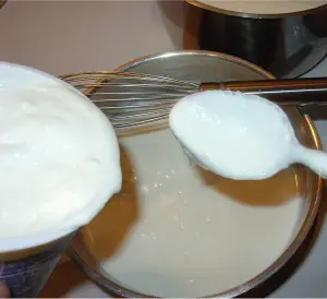Add Yogurt Culture Add Yogurt Culture