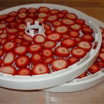 Preparing Strawberries for the Dehydrator