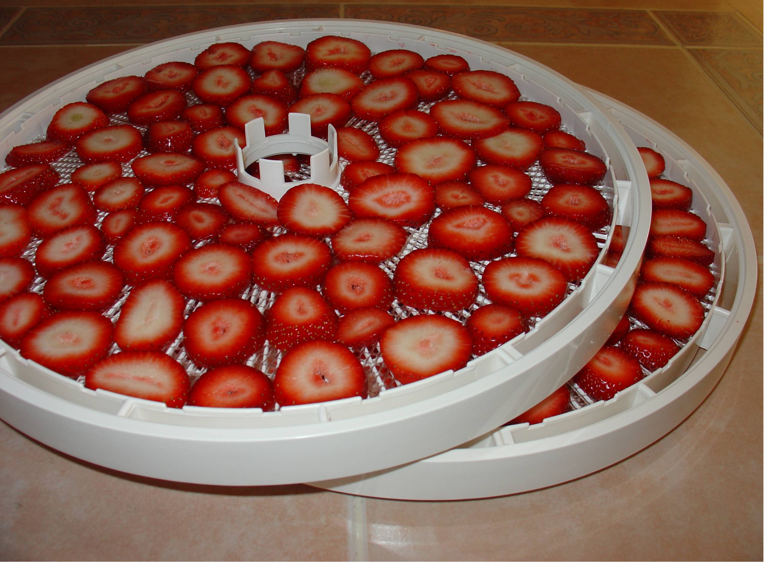 Food Dehydrator, Dried Fruit