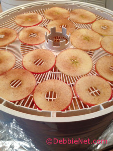 Place on Dehydrator Trays