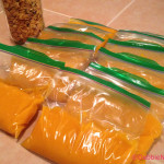Pumpkin puree packaged for the freezer