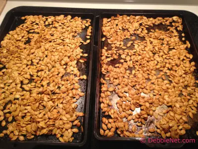 Roasted Pumpkin Seeds