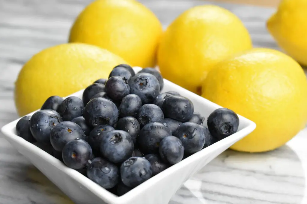 Lemon Blueberry Bread - fresh blueberries and lemons