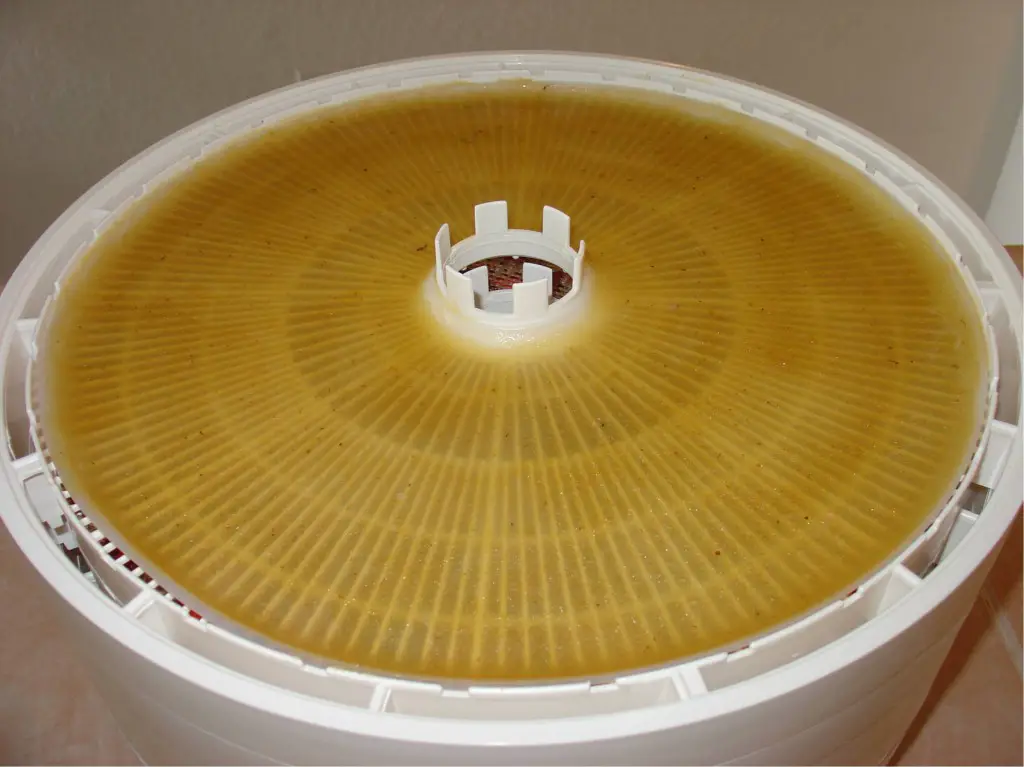 Dried Fruit and Fruit Leather