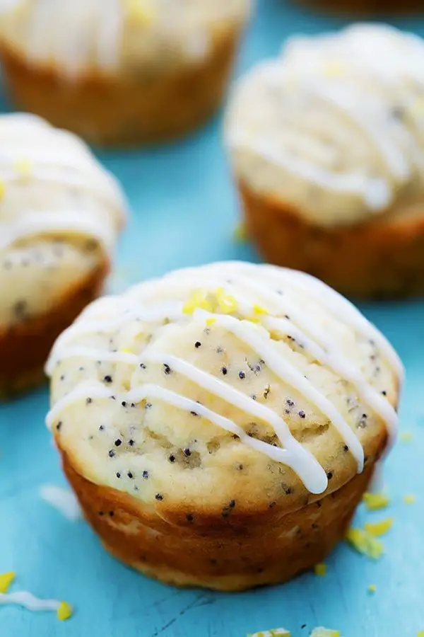 Zitronenmuffins Mit Mohn Lemon Poppy Seed Muffins — Rezepte Suchen